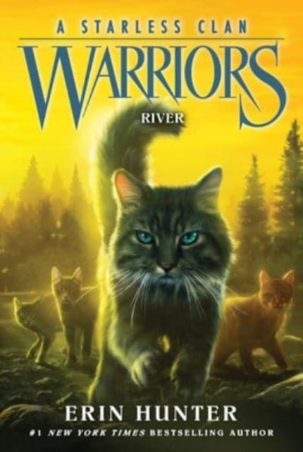Warriors: a Starless Clan #1: River - Warriors: a Starless Clan