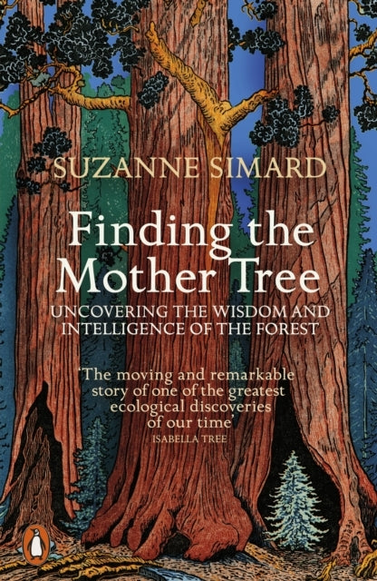 D2 Finding the Mother Tree