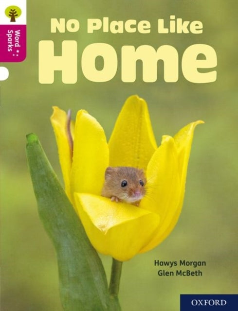 Oxford Reading Tree Word Sparks: Level 10: No Place Like Hom