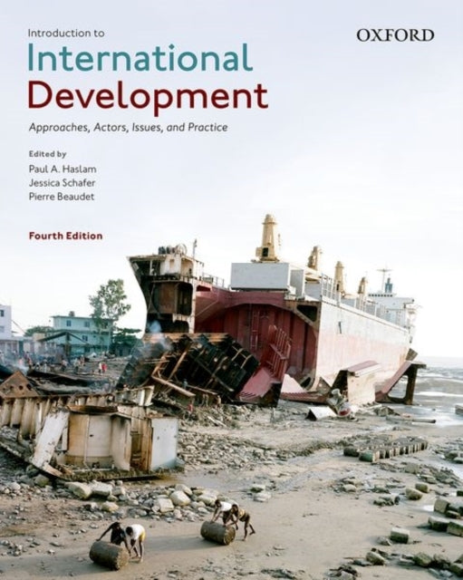 Introduction to International Development Approaches, Actors