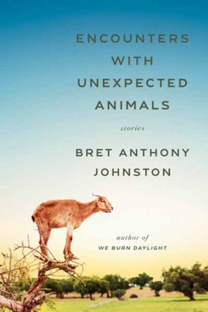 Encounters with Unexpected Animals