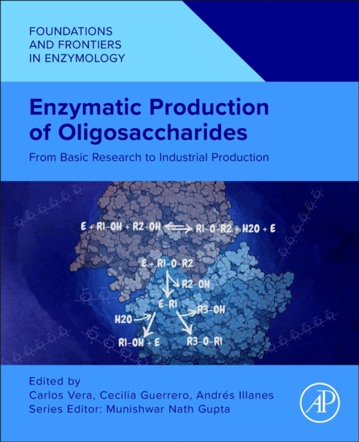 Enzymatic Production of Oligosaccharides From Basic Research