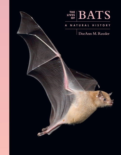 The Lives of Bats A Natural History
