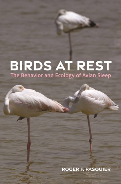 Birds At Rest The Behavior And Ecology Of Avian Sleep