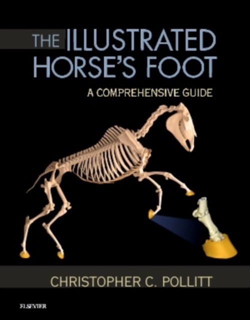 The Illustrated Horse's Foot