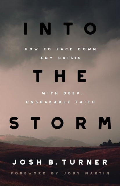 Into The Storm How To Face Down Any Crisis With Deep, Unshak