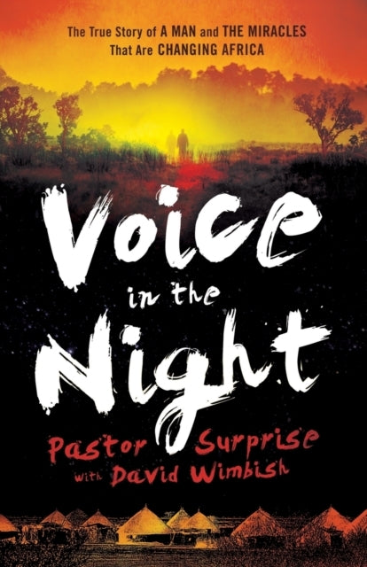 Voice in the Night the True Story of a Man and the Miracle