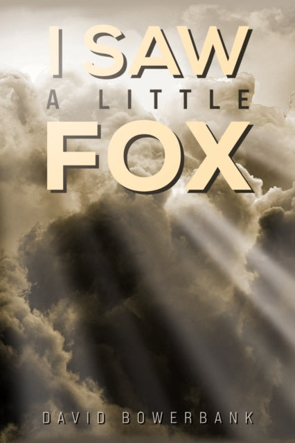 I Saw A Little Fox