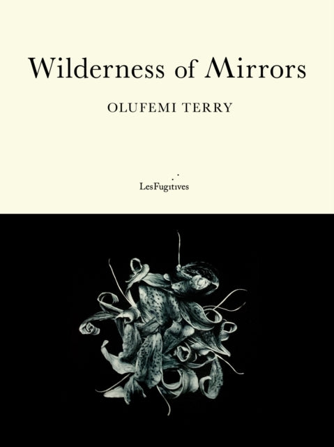 Wilderness of Mirrors