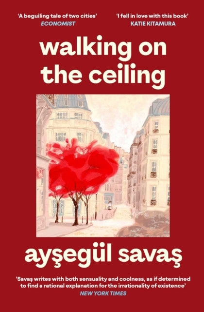 Walking on the Ceiling
