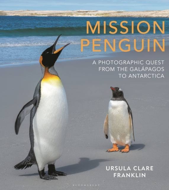 Mission Penguin A Photographic Quest From The Galapagos To A