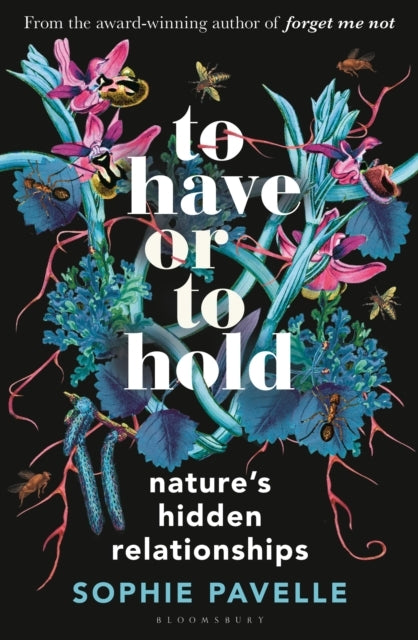 To Have Or To Hold