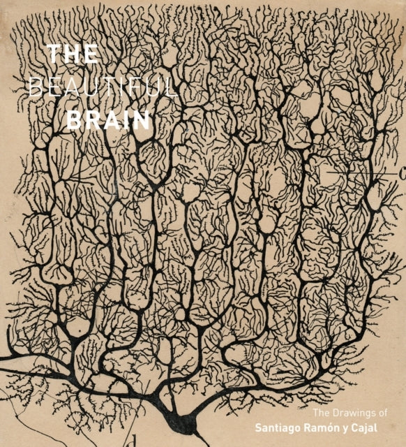 Beautiful Brain