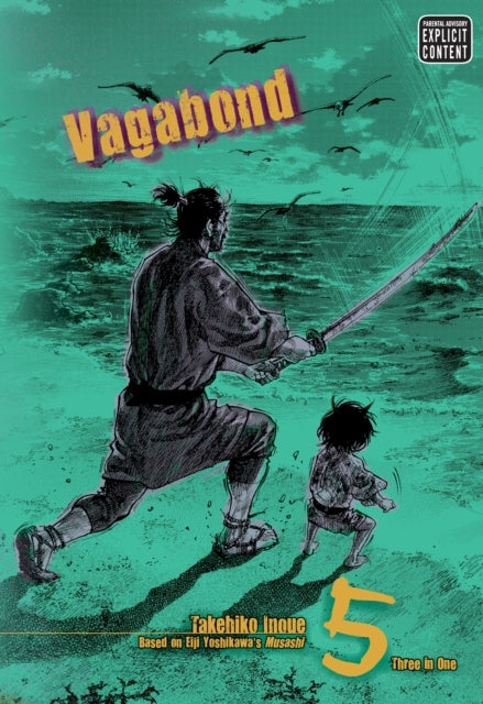 Vagabond (vizbig Edition) Vol. 5