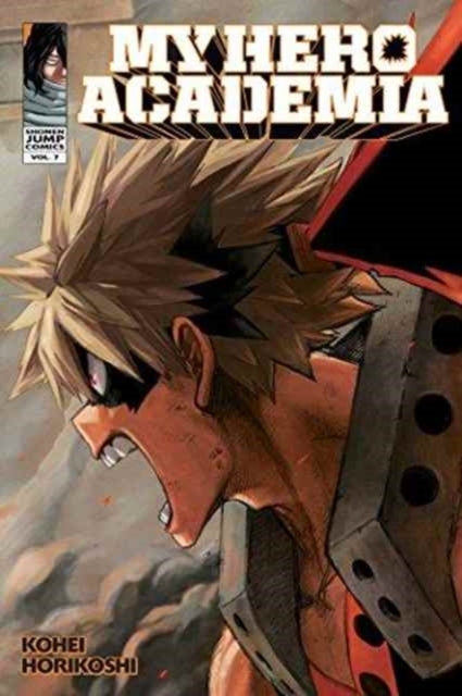 D2 My Hero Academia Vol. 7