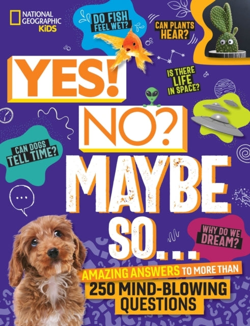 Yes! No? Maybe So... Amazing Answers To More Than 250 Mind-B