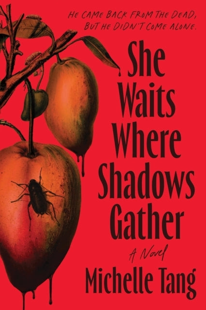 She Waits Where Shadows Gather