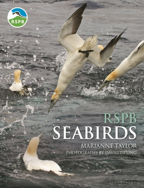 Rspb Seabirds