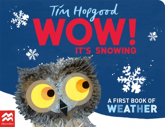 Wow! It's Snowing A First Book of Weather