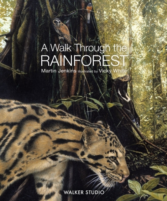 A Walk Through The Rainforest