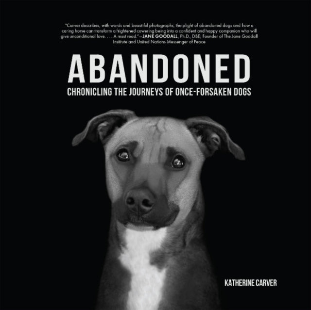 Abandoned Chronicling The Journeys of Once-Forsaken Dogs