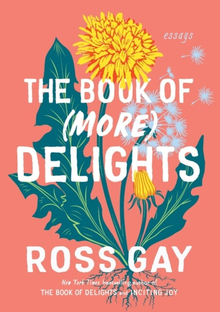 The Book of More Delights Essays