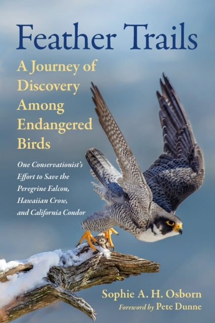 Feather Trails A Journey of Discovery Among Endangered Birds