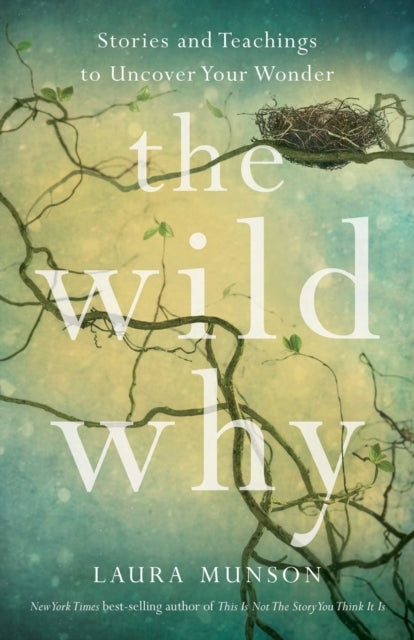 The Wild Whyreturning To Your Wonder