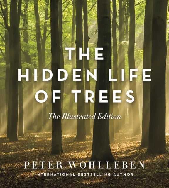 D1 The Hidden Life of Trees