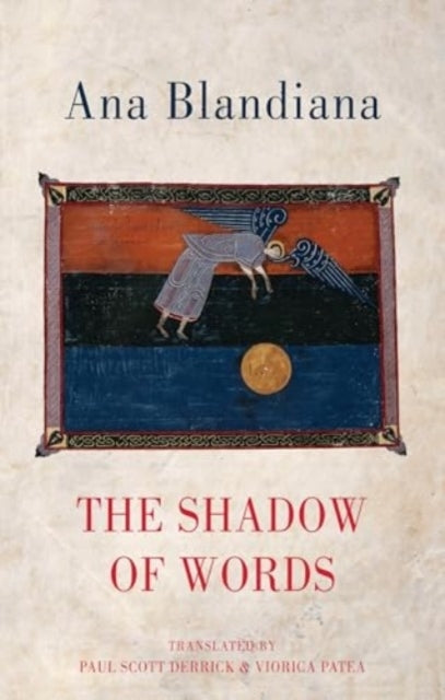 The Shadow Of Words