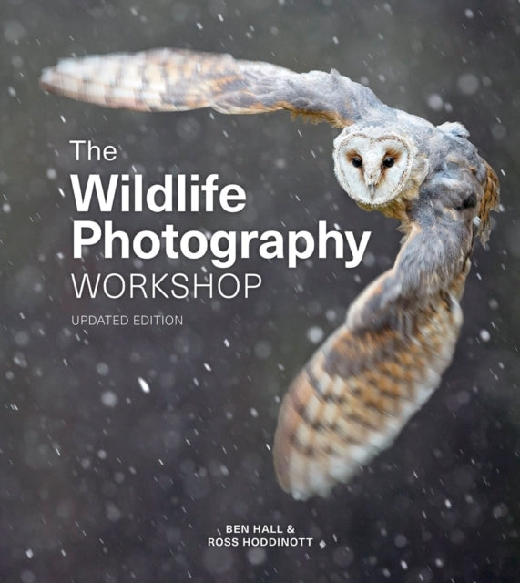 Wildlife Photography Workshop the