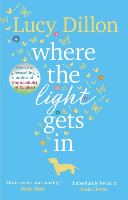 Where the Light Gets in
