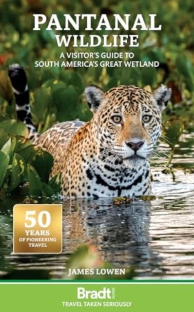 Pantanal Wildlifea Visitor'S Guide To South America'S Great