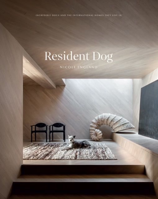 Resident Dog Volume 2