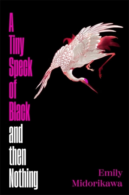 A Tiny Speck of Black and Then Nothing
