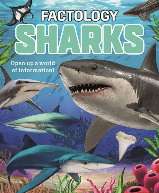 Factology Sharksopen Up A World Of Information!