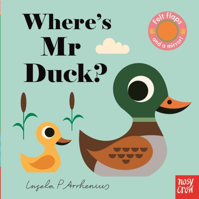 D1 Where's Mr Duck?