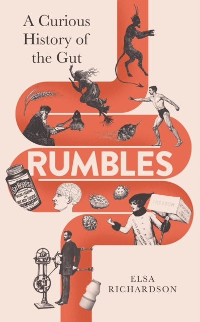 Rumblesa Curious History of The Gut