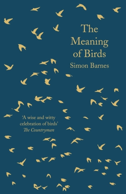 The Meaning Of Birds