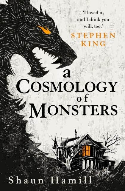 COSMOLOGY OF MONSTERS.