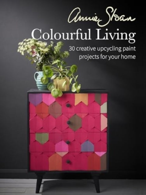 Annie Sloan Colourful Living30 Creative Upcycling Paint Proj