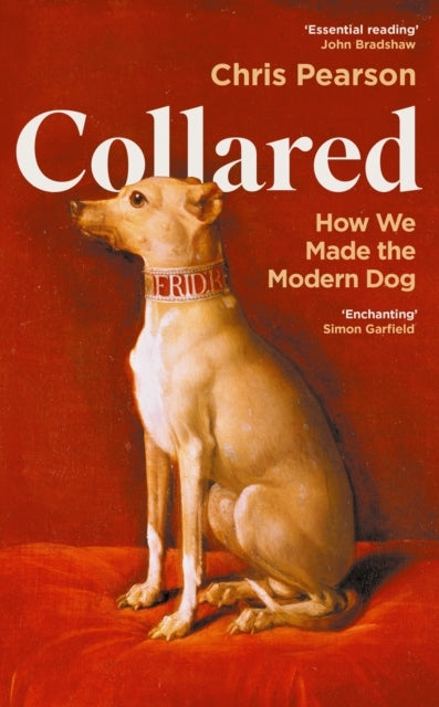 Collaredhow We Made The Modern Dog