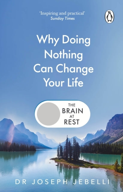 The Brain at Rest