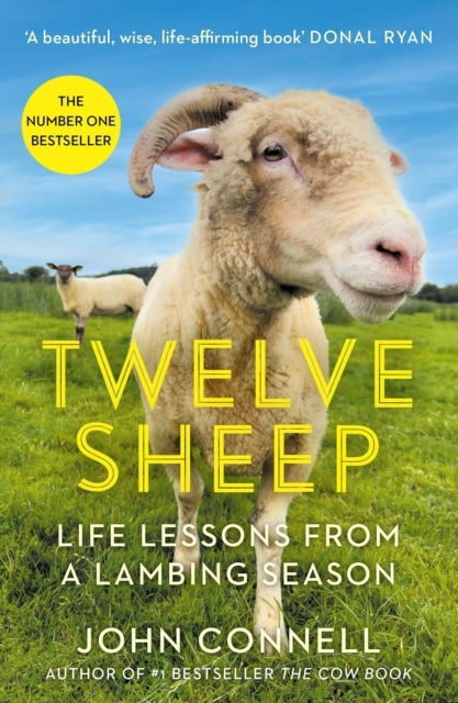 Twelve Sheeplife Lessons From A Lambing Season