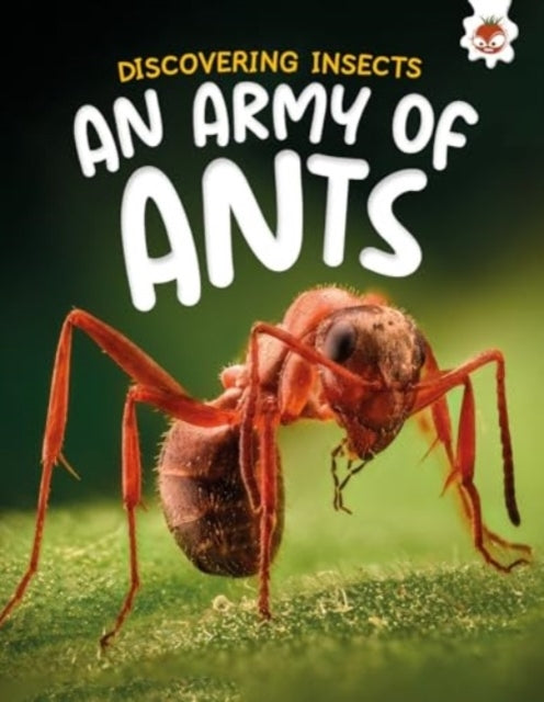 Discovering Insects An Army Of Ants