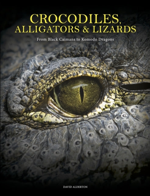 Crocodiles Alligators & Lizards