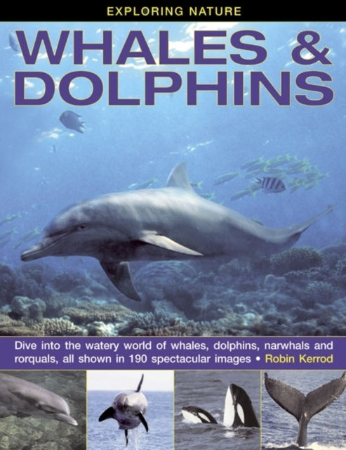 Exploring Nature Whales & Dolphinsdive Into The Watery Worl