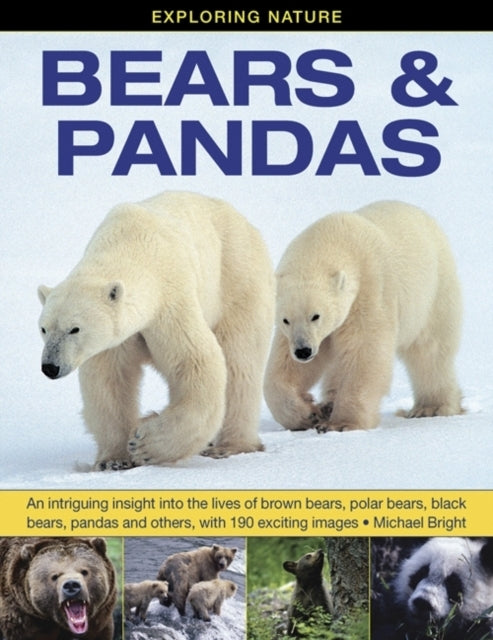 Exploring Nature Bears & Pandasan Intriguing Insight Into T