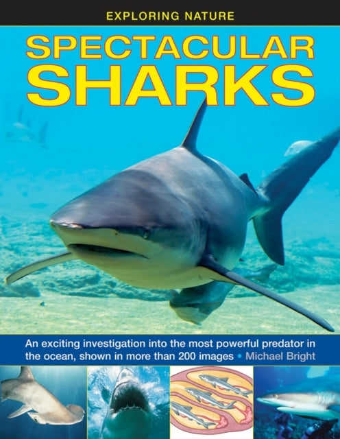 Exploring Nature Spectacular Sharks