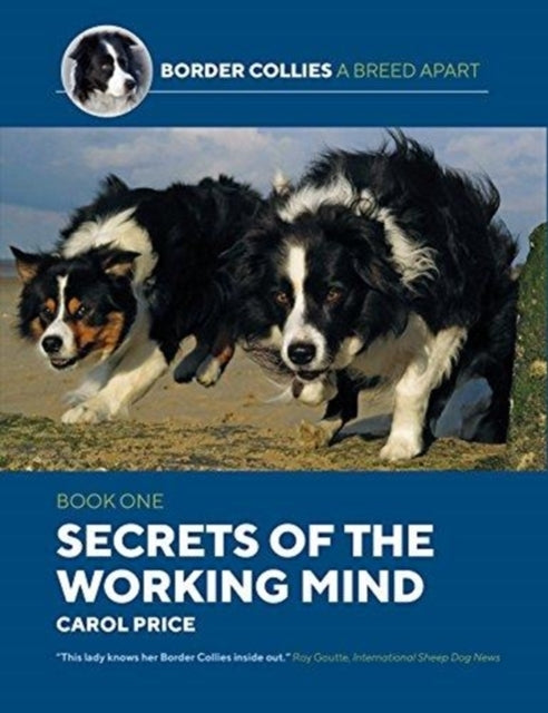 Secrets of the Working Mind